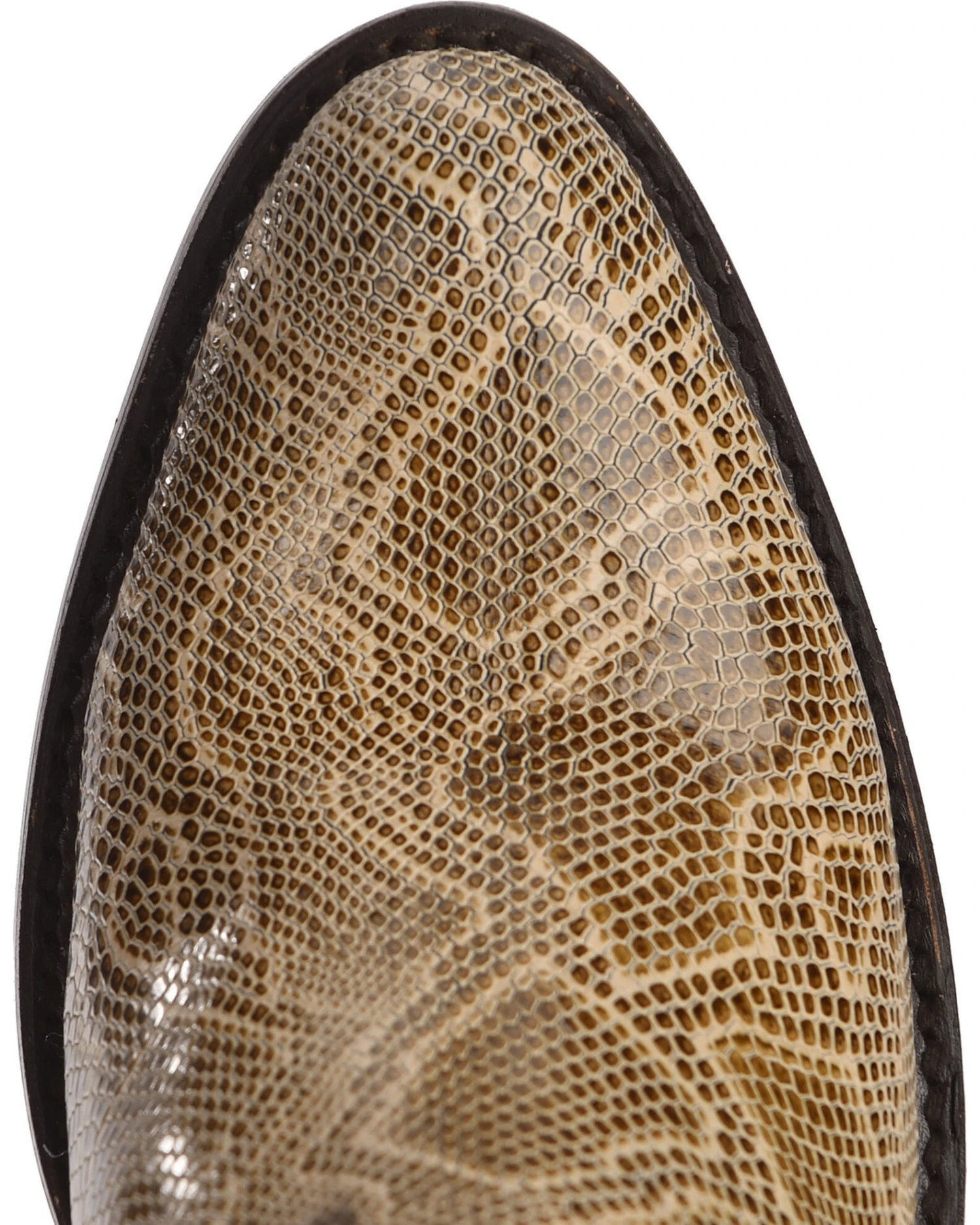 Liberty Black Women's Breton Snake Print Booties - Medium Toe - Image 4